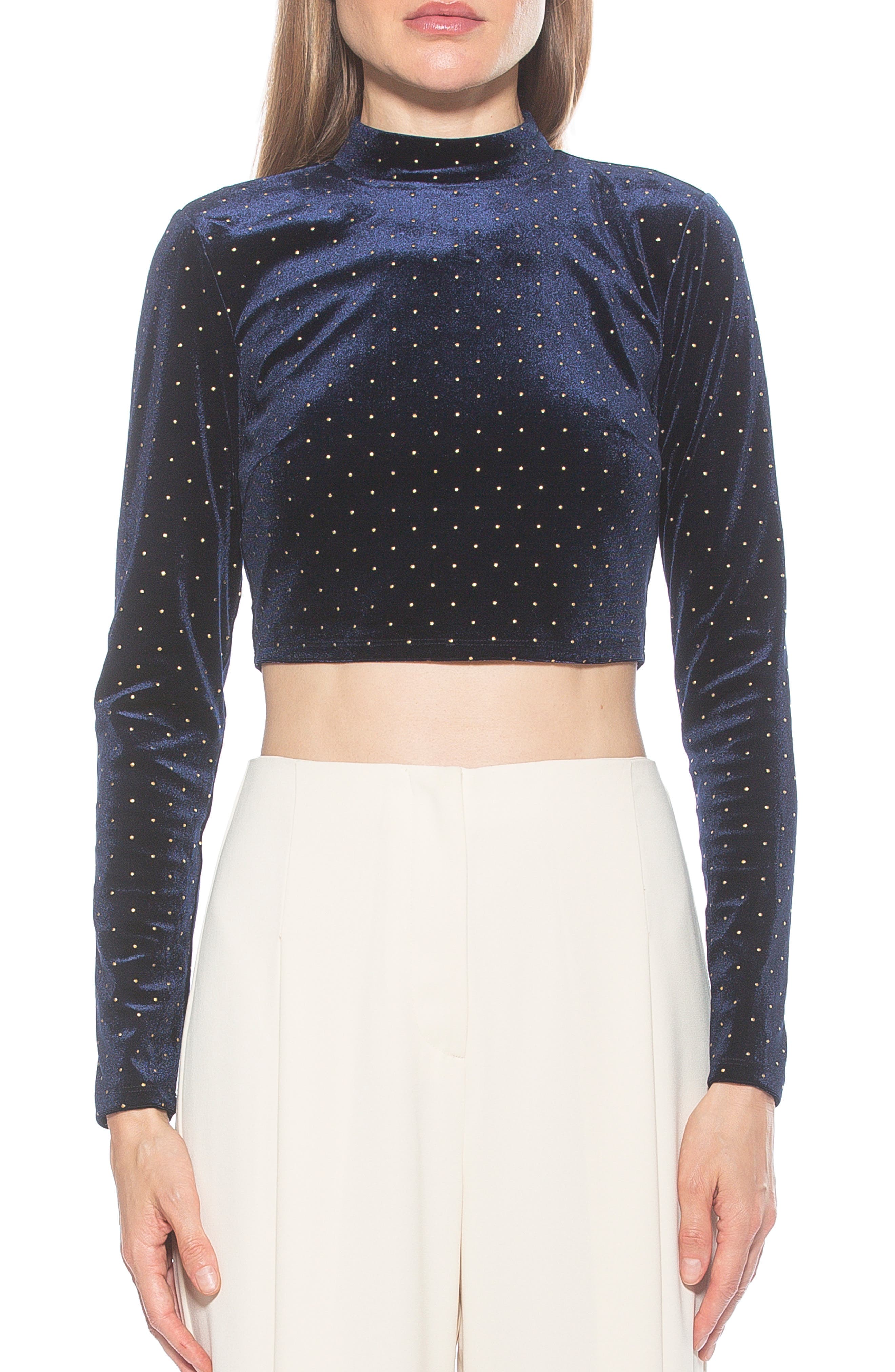 Ari Long Sleeve Studded Velvet Crop Top - image 1