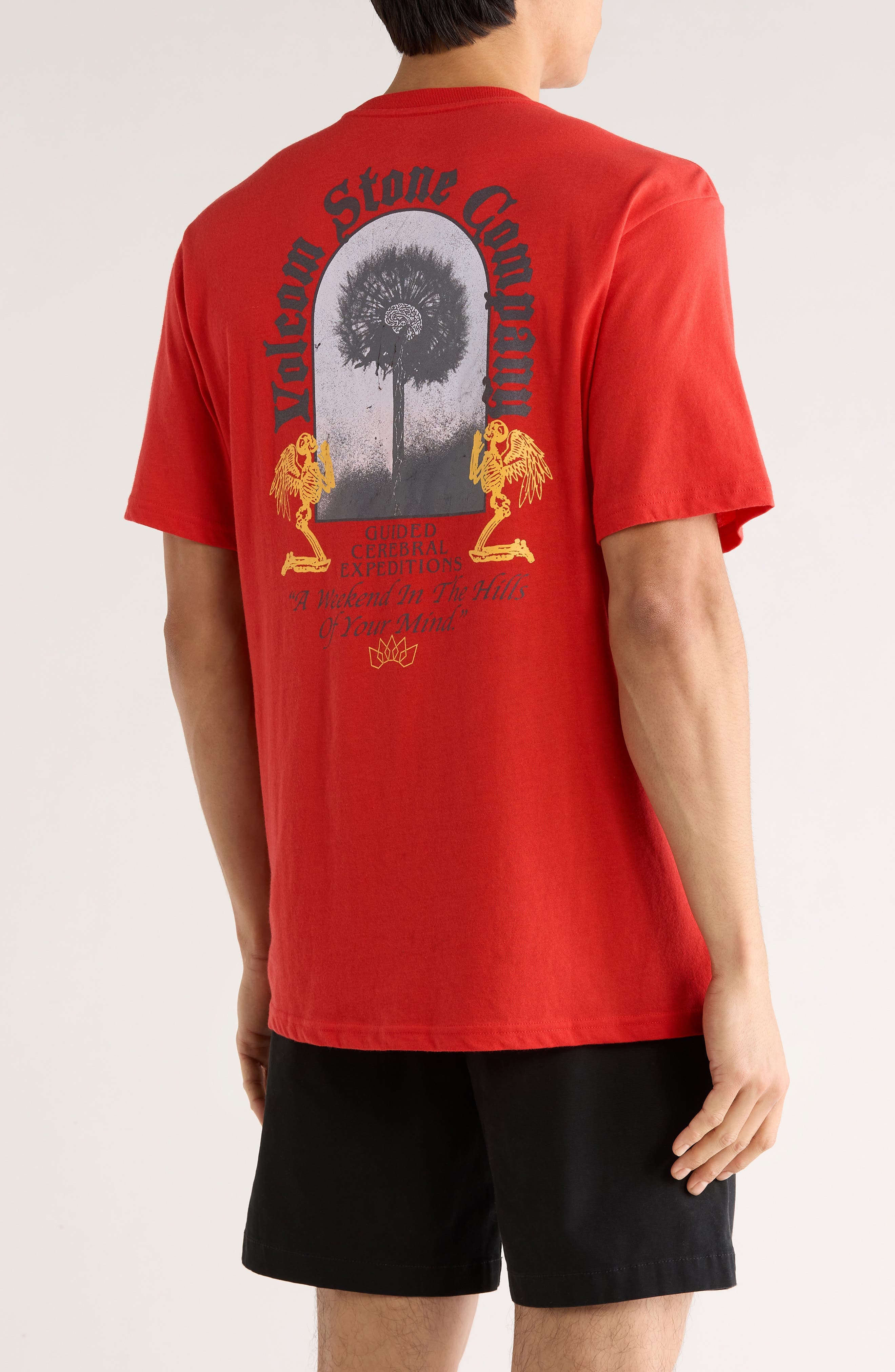 Cosmic Root Cotton Graphic T-Shirt - image 2
