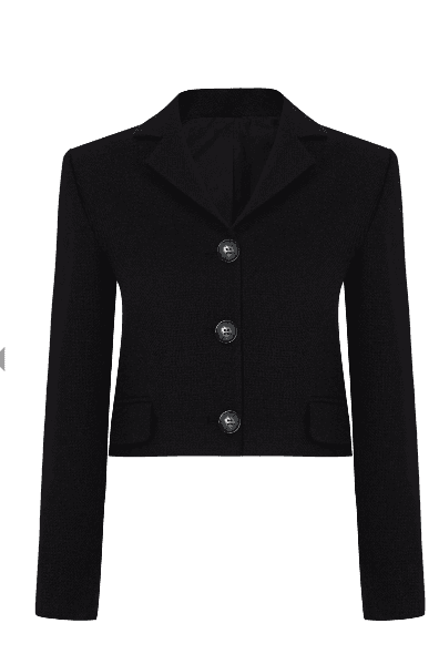 Tara Wool Crop Jacket - image 1