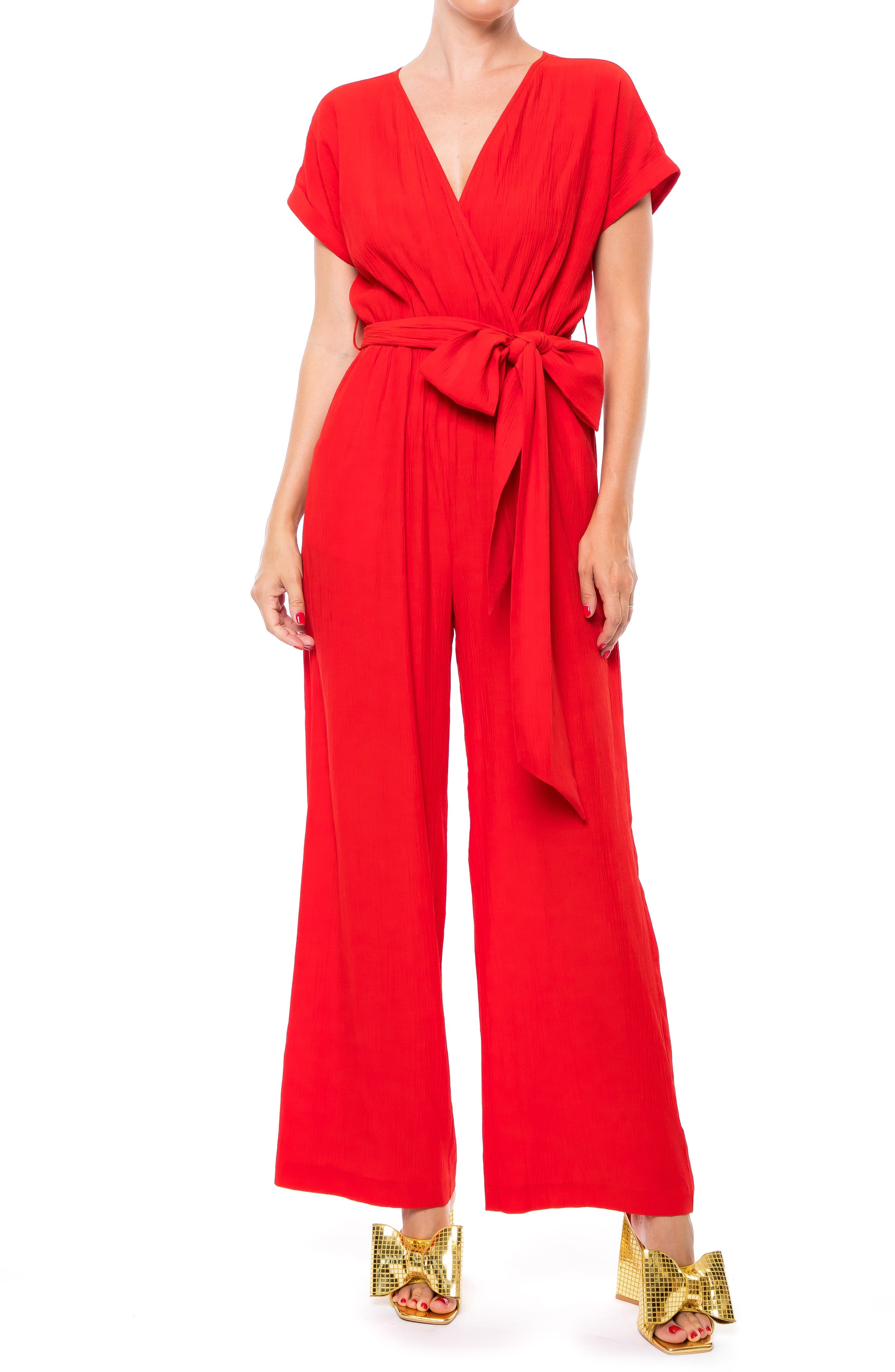 Wonderland Jumpsuit - image 1