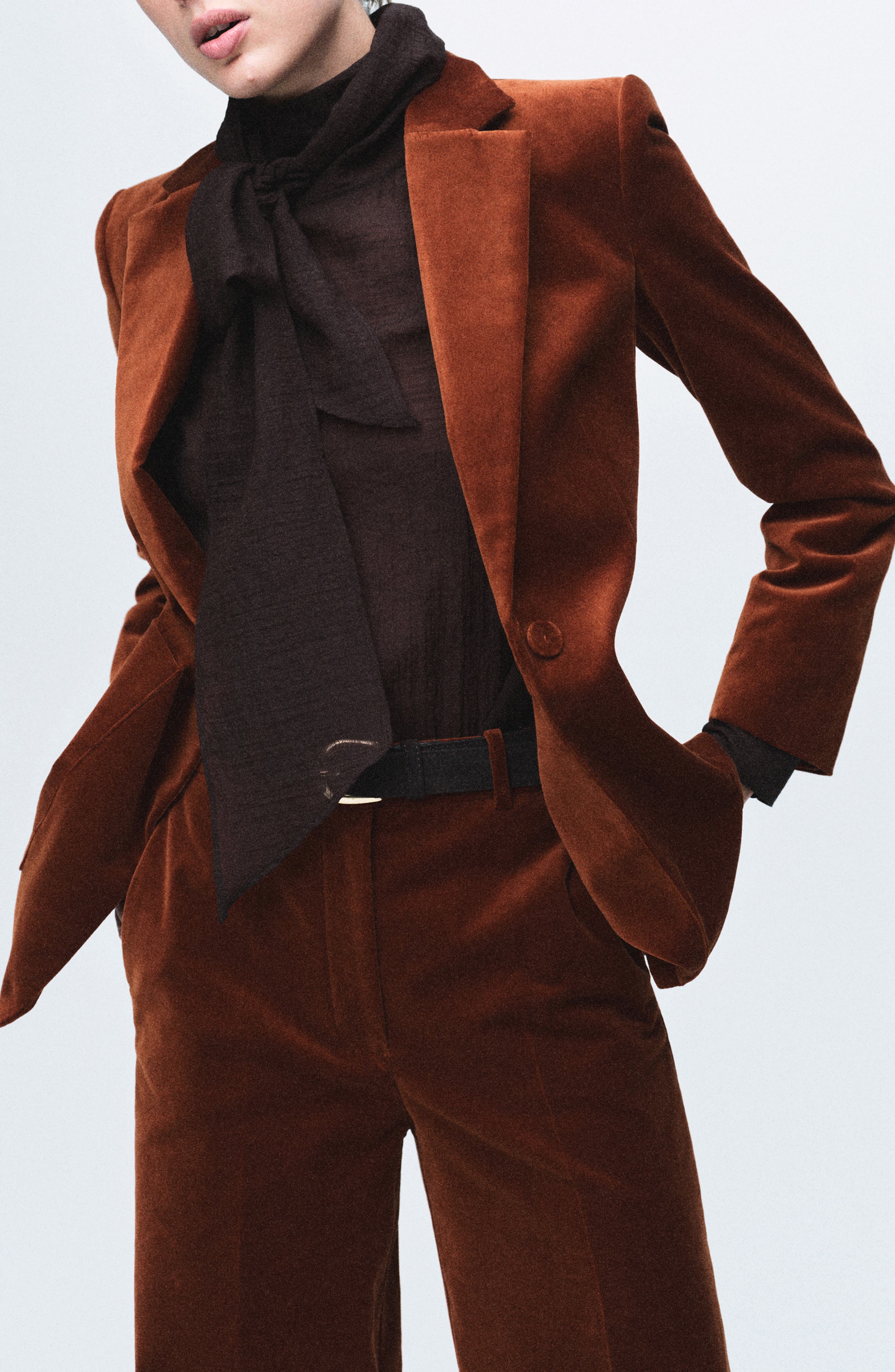 Velvet Blazer - image 1