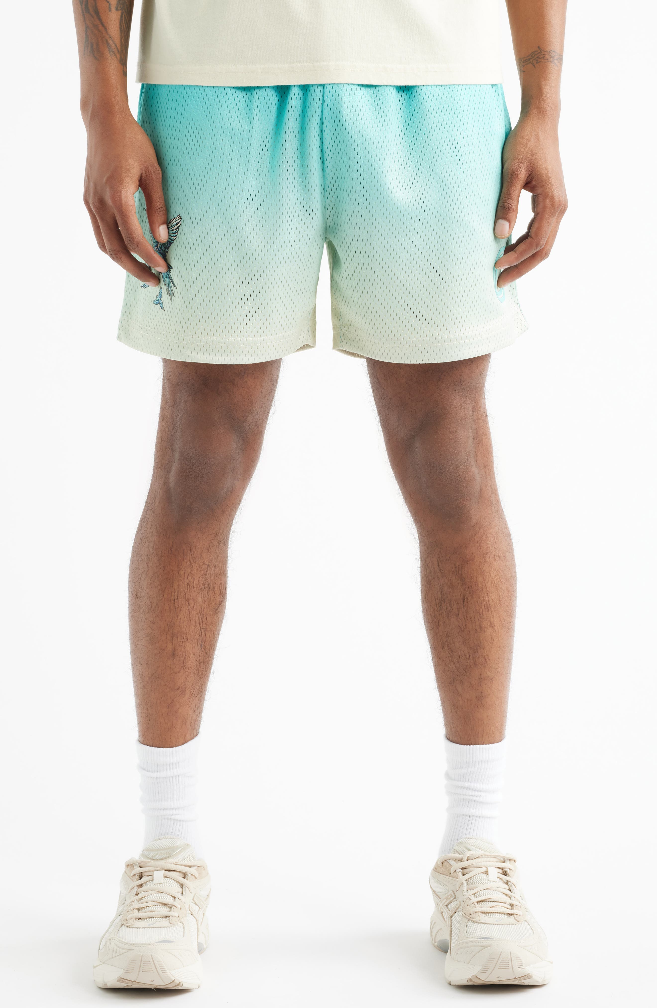 Summer Mesh Shorts - image 1