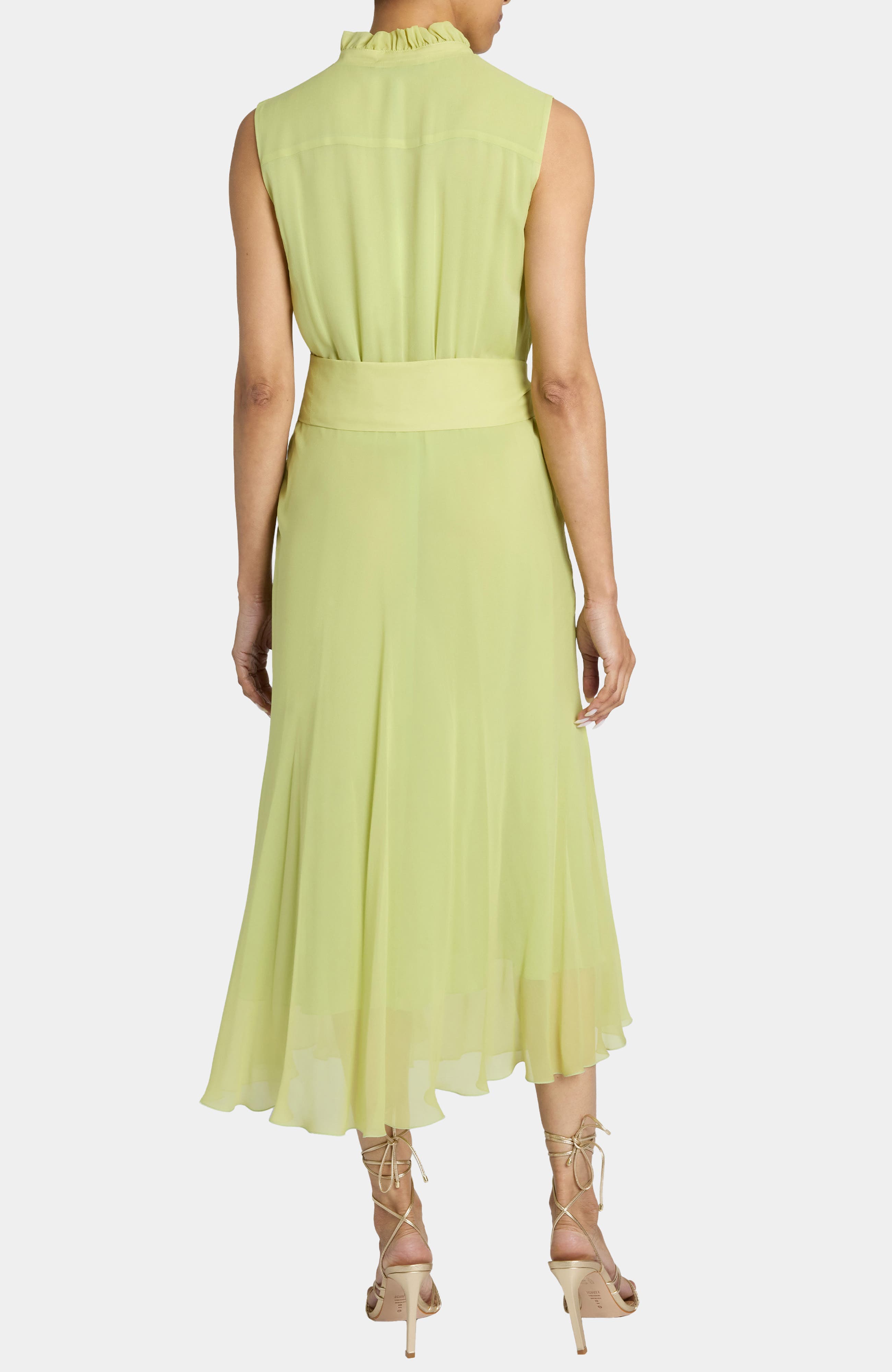 Nirva Sleeveless Sleeveless Ruffle-Neck Midi Dress in Silk Georgette - image 2