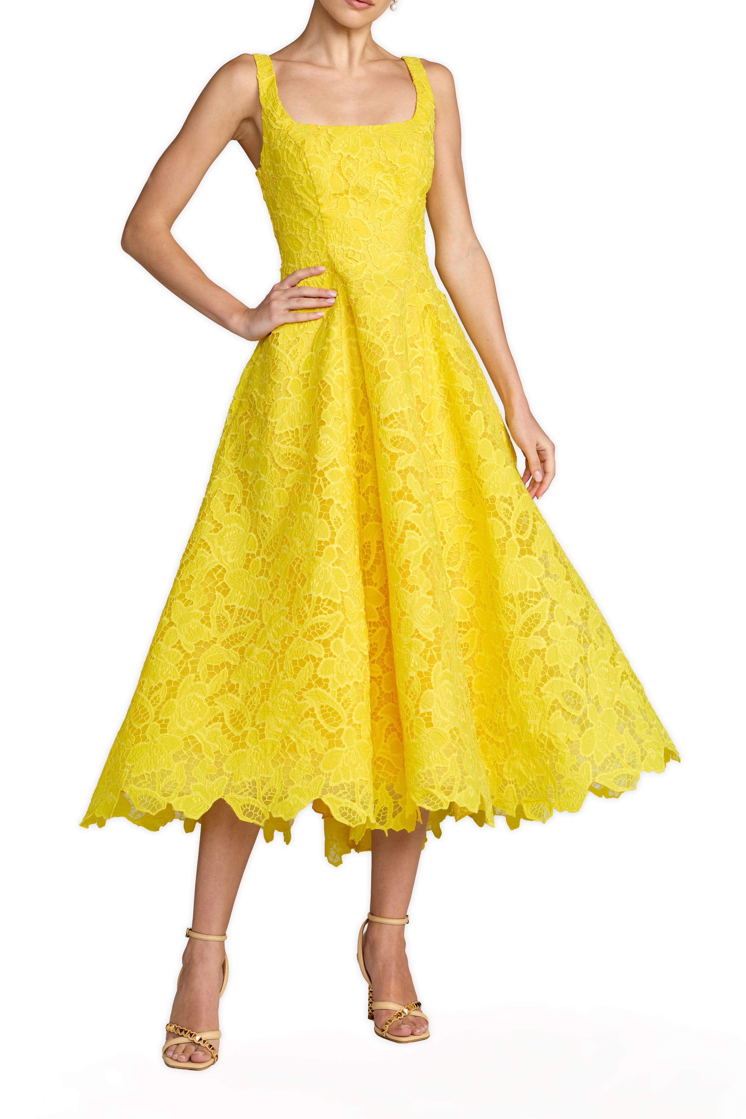 Sleeveless Lace Scoop Neck Midi Dress with Pockets - image 1