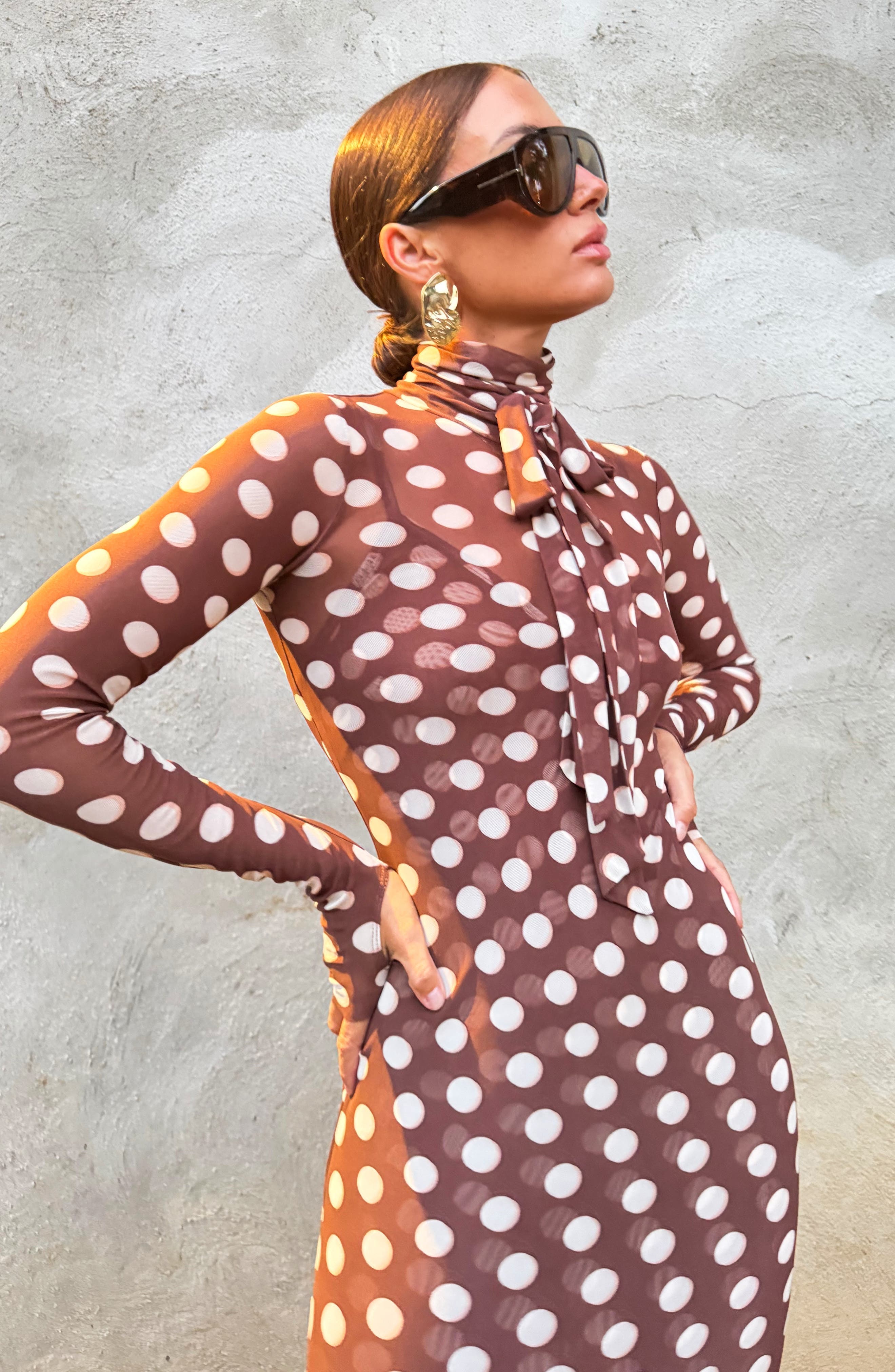 Bryony Long Sleeve Polka Dot Mesh Dress - image 2