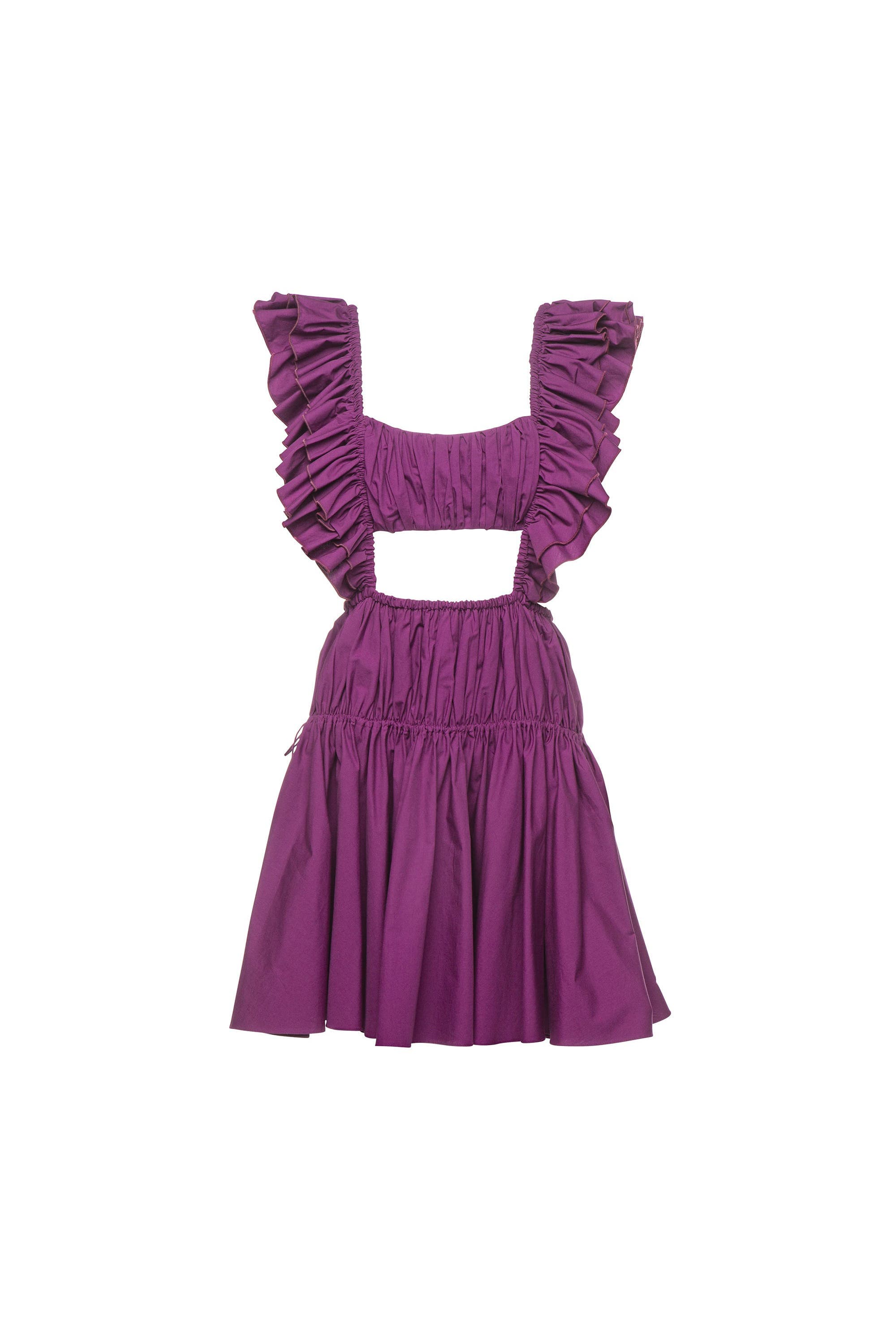 Dahlia Ruched Mini Dress - image 1