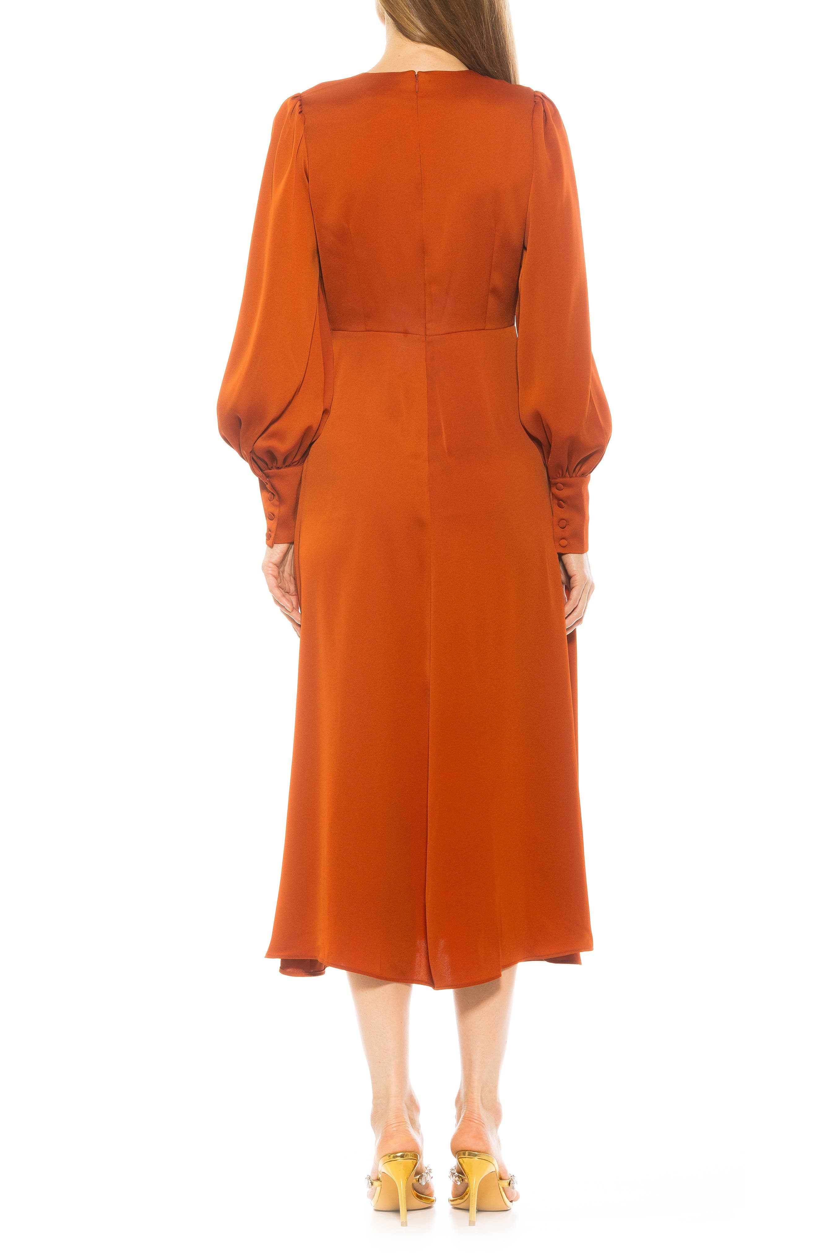 Sophie Long Sleeve Fit & Flare Maxi Dress - image 2