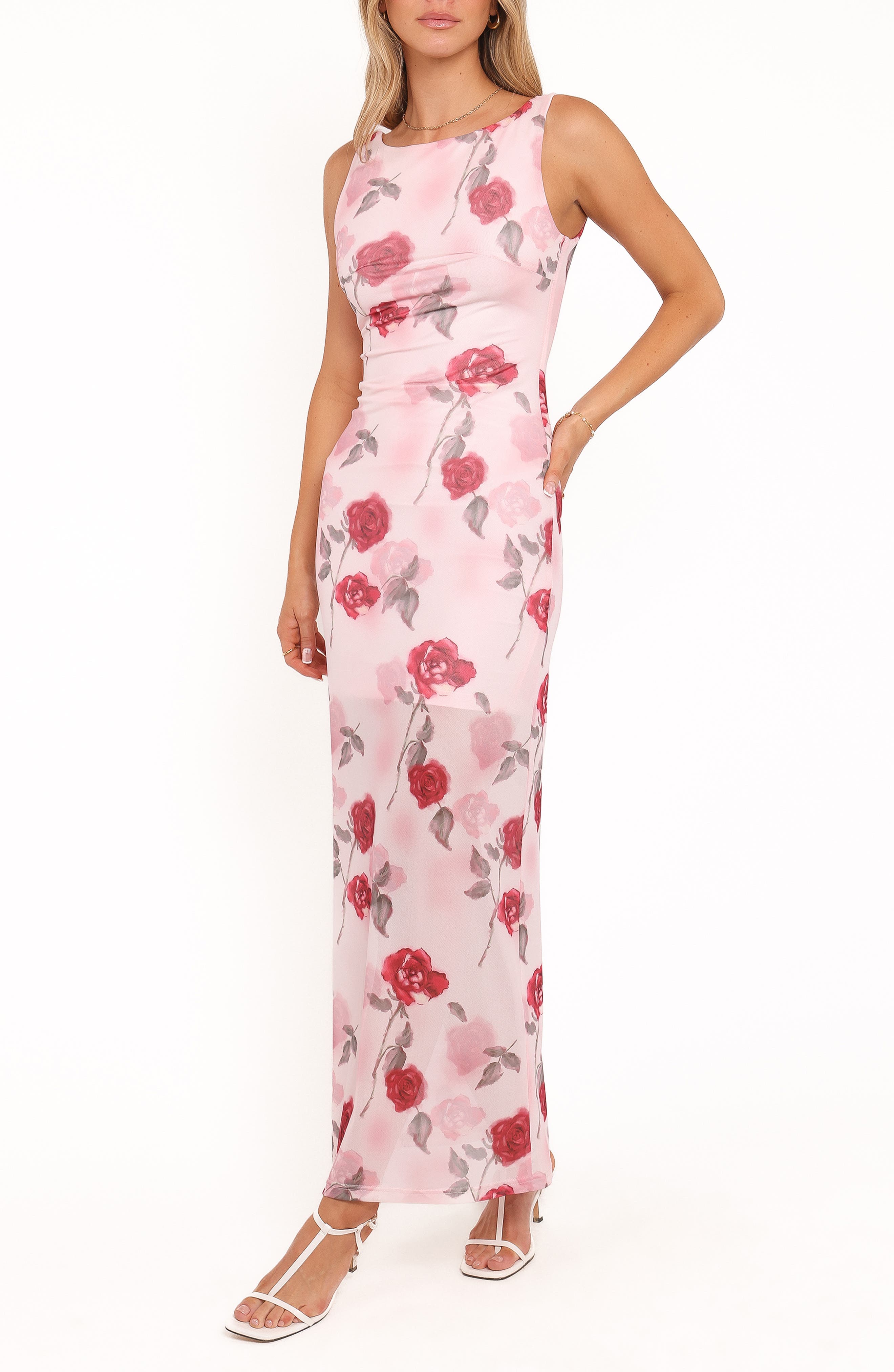 Brissa Floral Print Sleeveless Dress - image 1