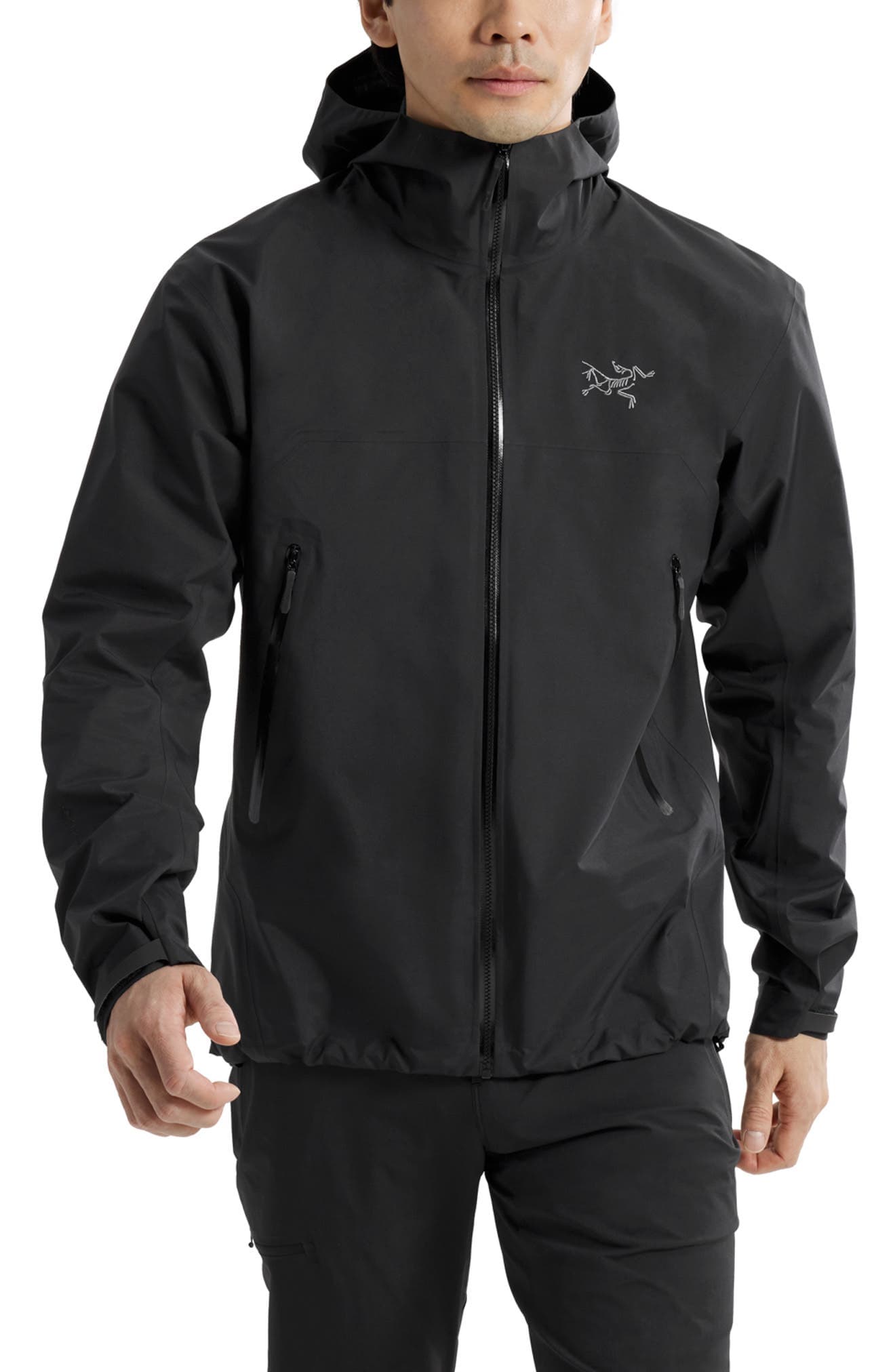 Beta SL Hybrid Gore-Tex Hooded Jacket - image 1