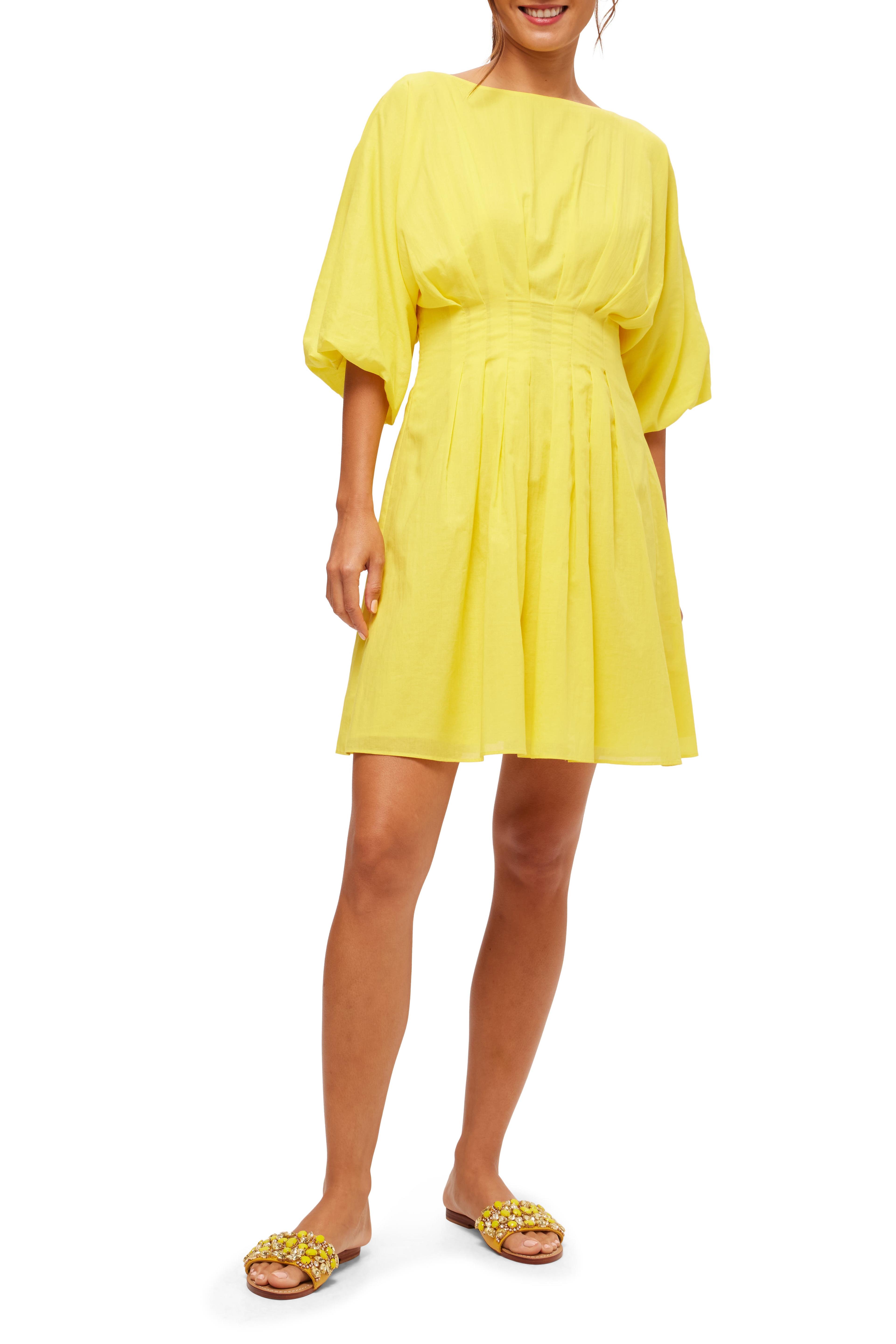 Gian 2 Pleated A line Dress - image 1