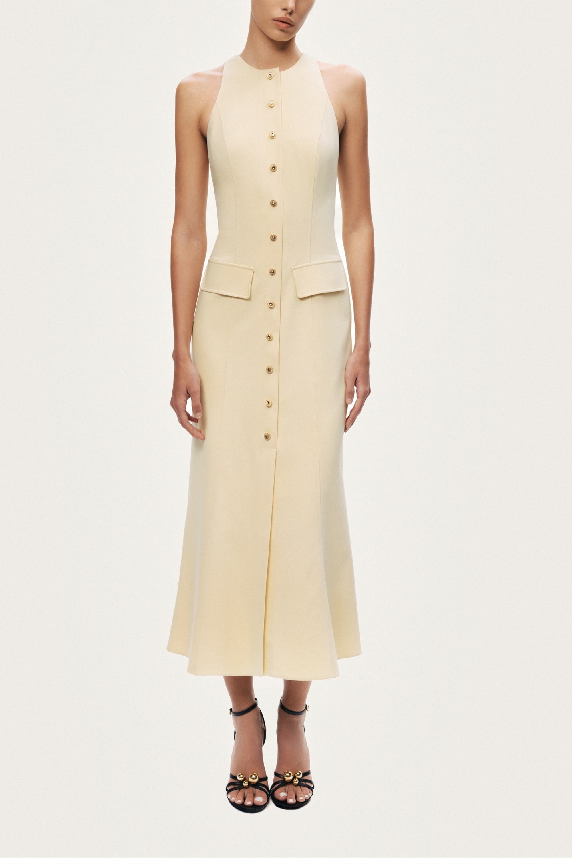 Sleeveless Button-Front Midi Dress - image 1