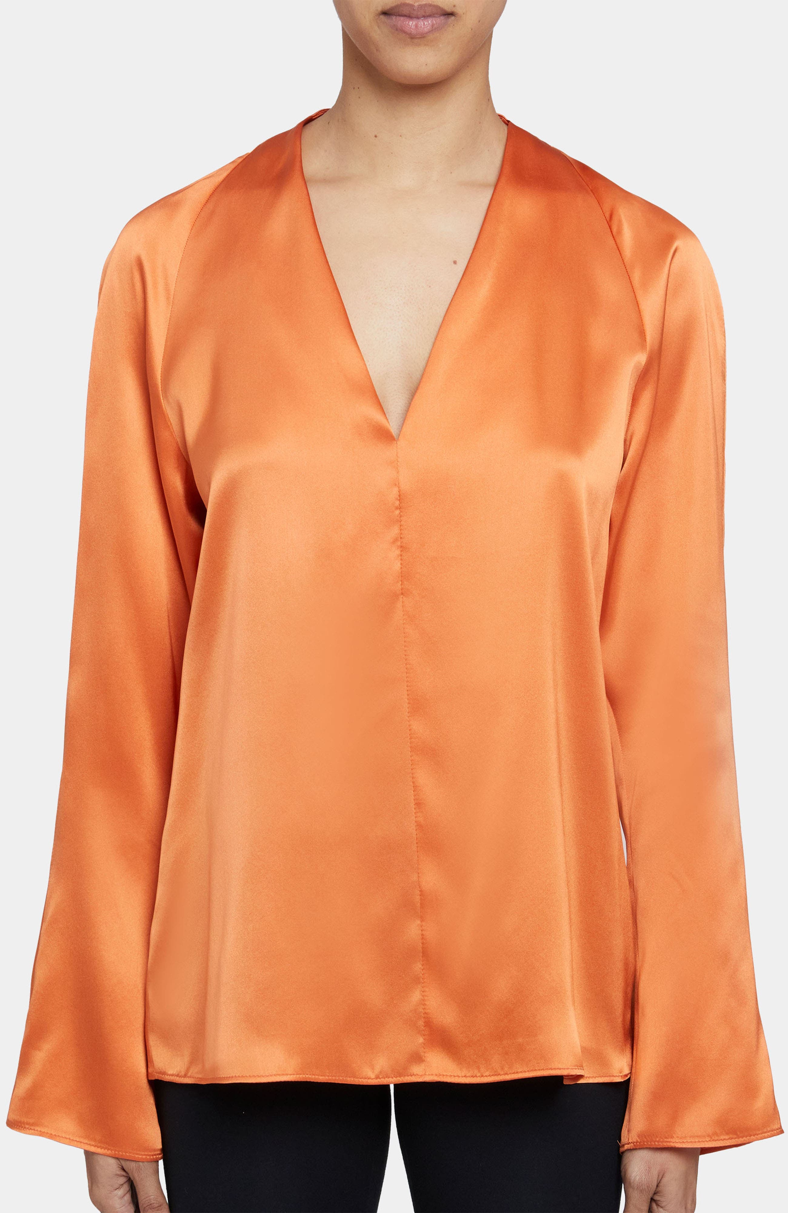 Zuri Long Sleeve V-Neck Blouse in Silk Charmeuse - image 1