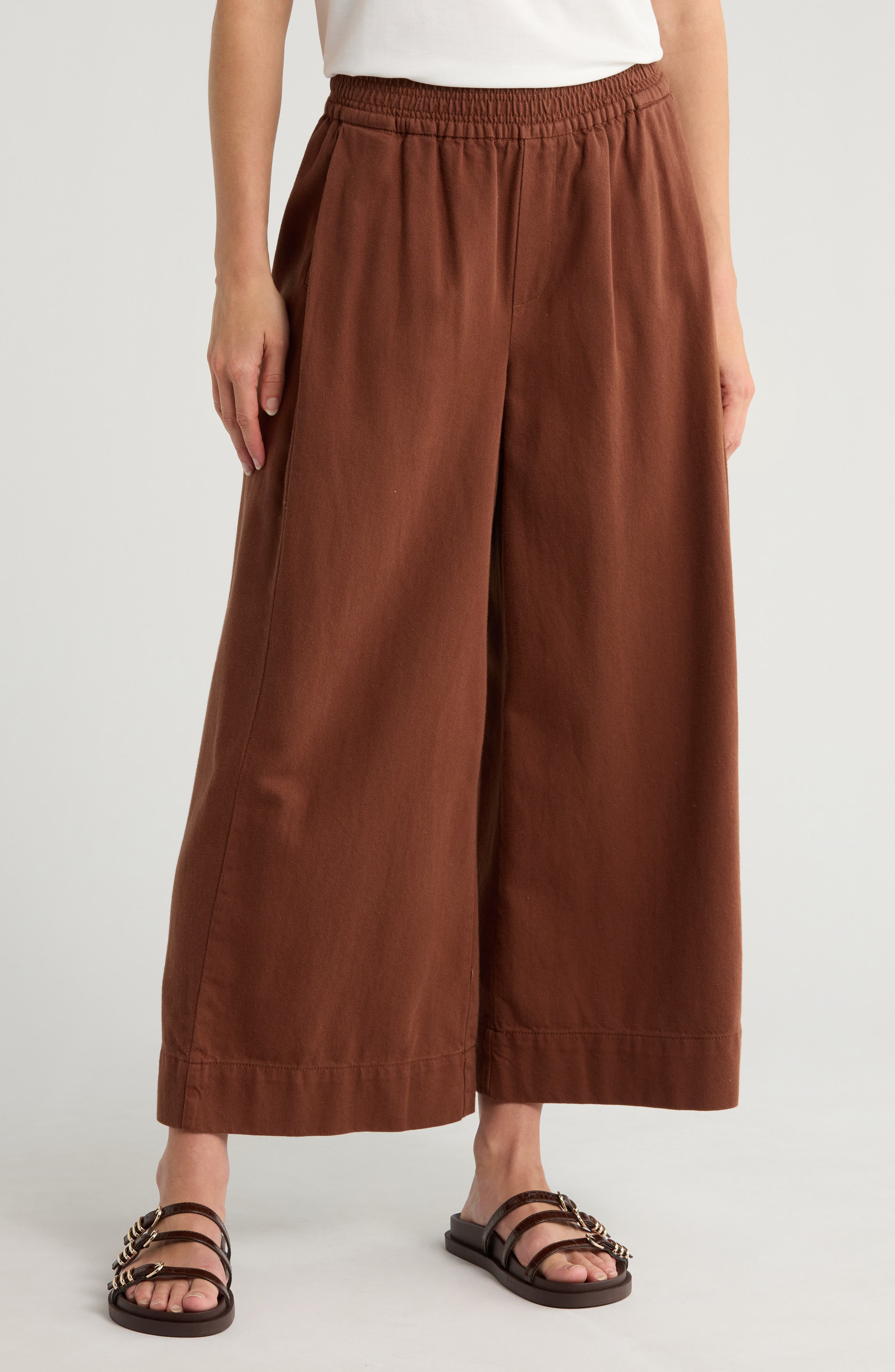 Pleated Crop Wide Leg Pull-On Pants - image 1