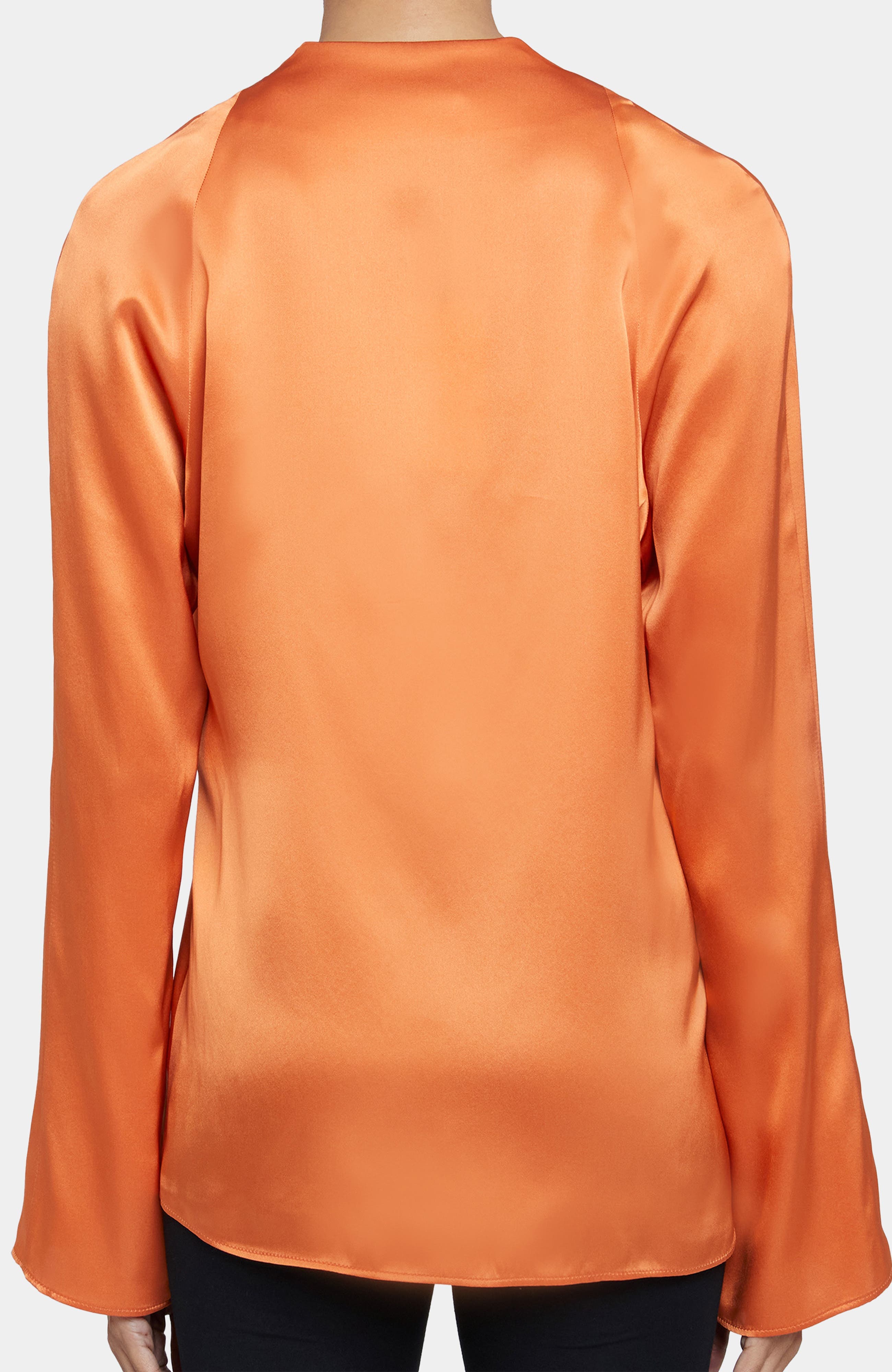 Zuri Long Sleeve V-Neck Blouse in Silk Charmeuse - image 2