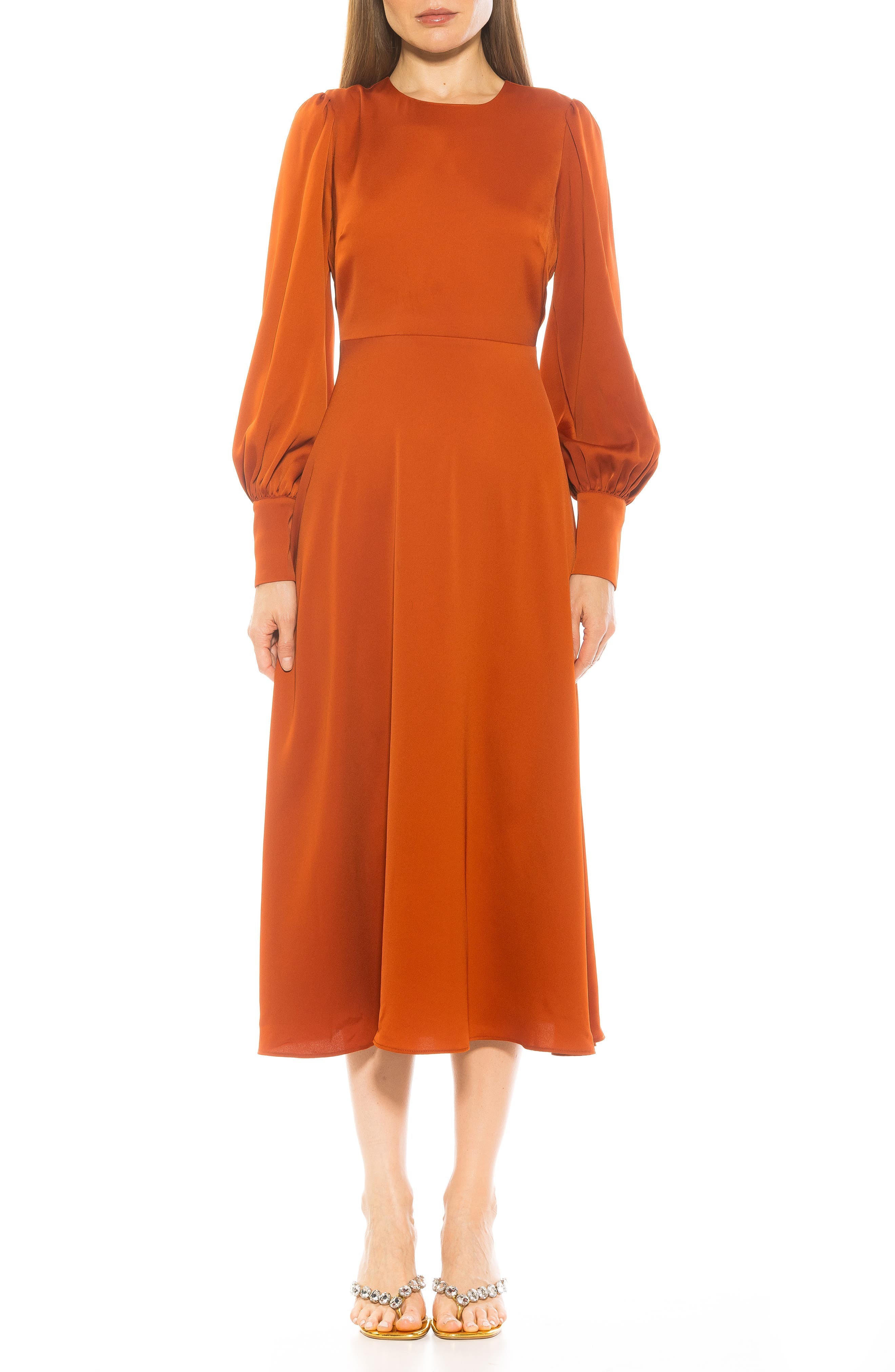 Sophie Long Sleeve Fit & Flare Maxi Dress - image 1