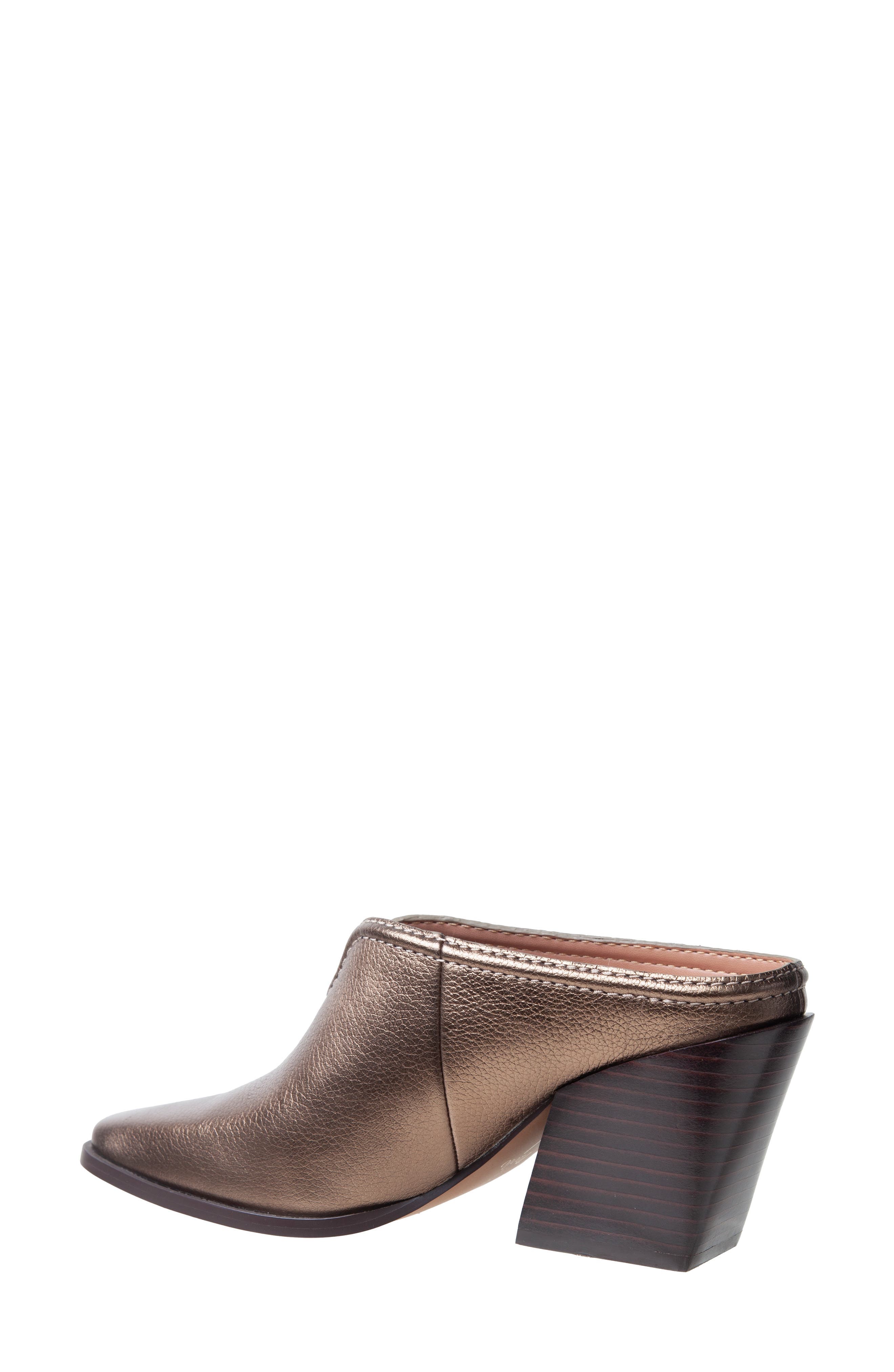 Shelleyx Mule - image 2