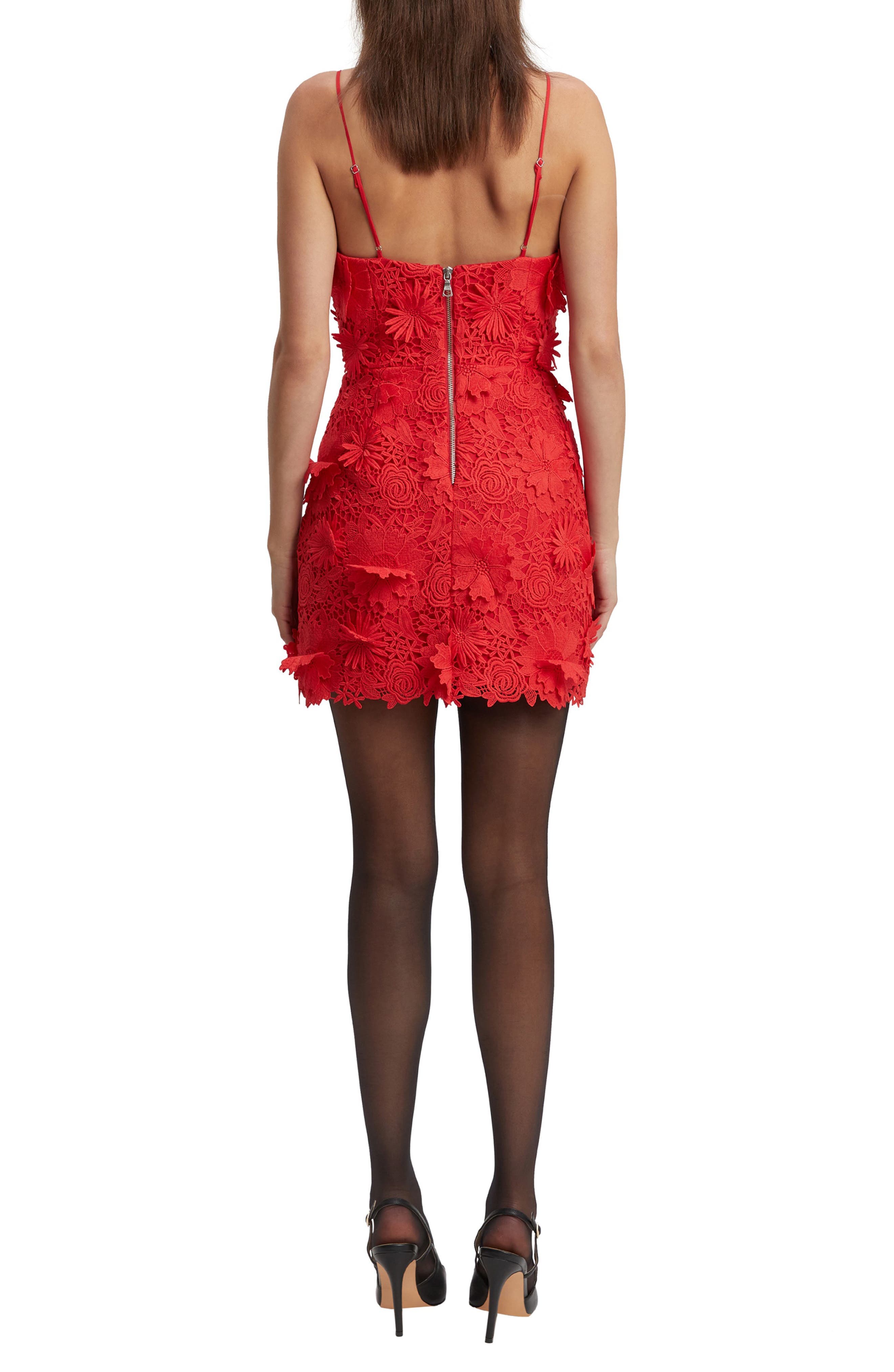 Brias Lace Minidress - image 2