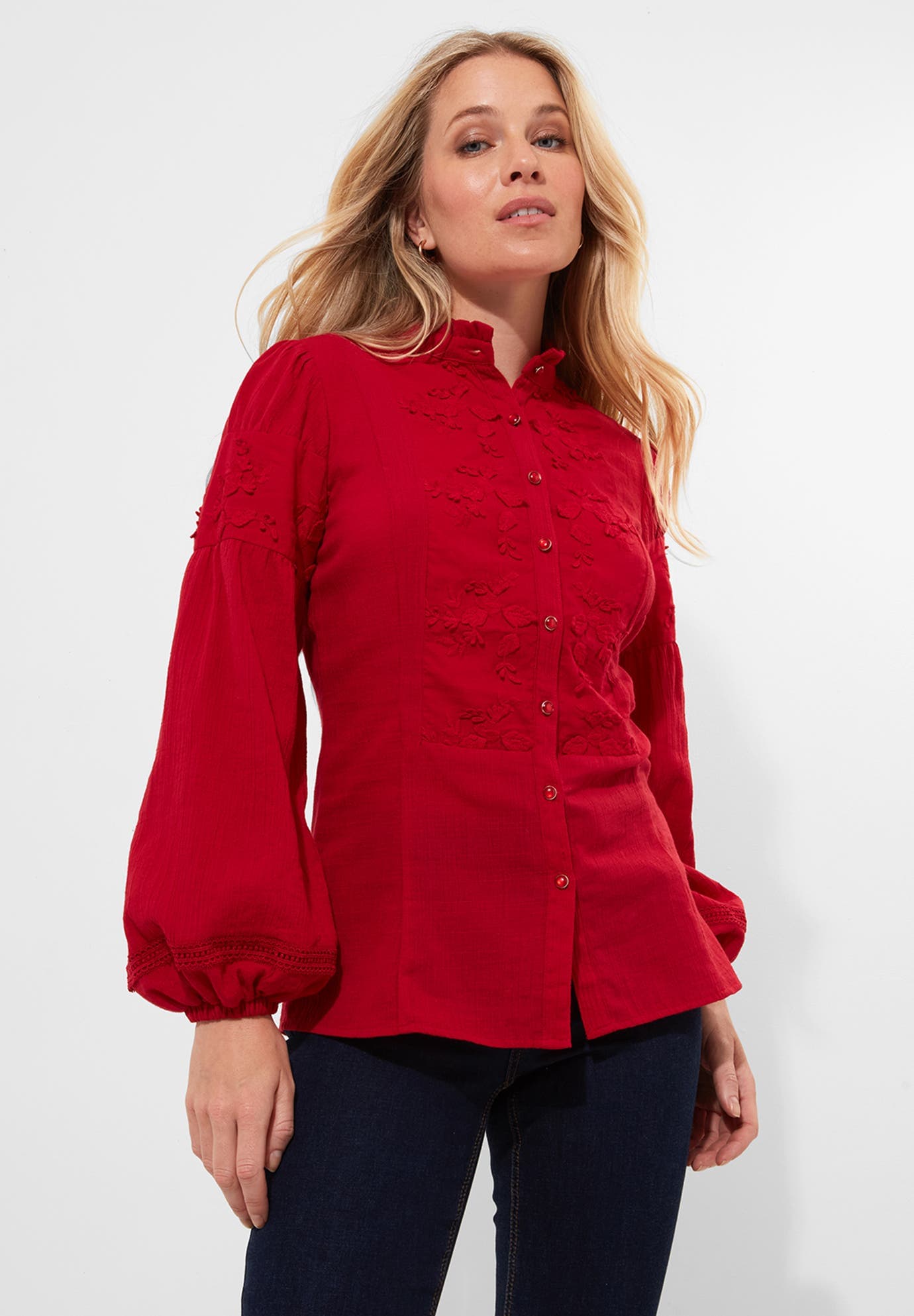 Long Balloon Sleeve Embroidered Blouse - image 1